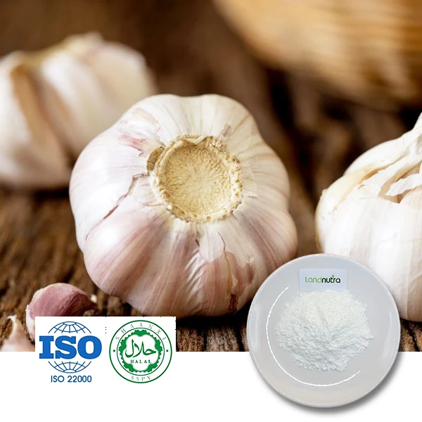 Allicin Garlic Extract Powder Allicin Garlic Extract Powder