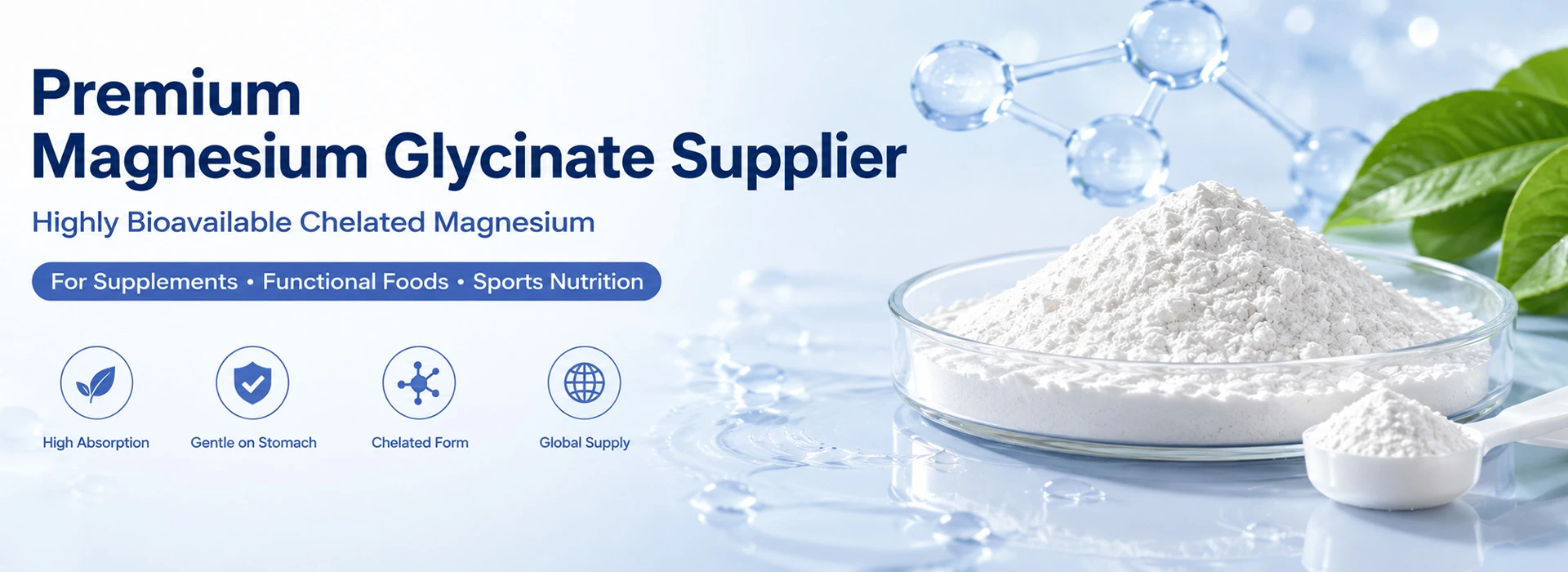 Premium Magnesium Glycinate Supplier Landnutra